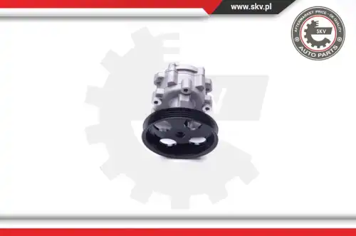 Насос гидроусилителя руля SKV 10SKV251