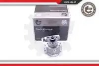 Насос гидроусилителя руля SKV 10SKV252