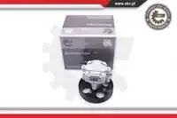 Насос гидроусилителя руля SKV 10SKV254
