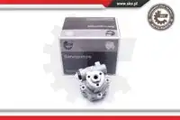 Насос гидроусилителя руля SKV 10SKV256