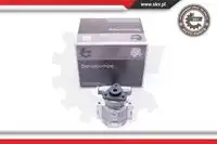 Насос гидроусилителя руля SKV 10SKV258