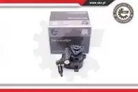 Насос гидроусилителя руля SKV 10SKV259