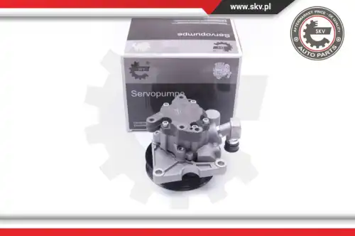 Насос гидроусилителя руля SKV 10SKV273