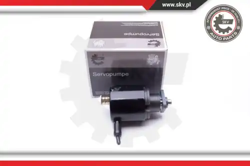 Насос гидроусилителя руля SKV 10SKV280