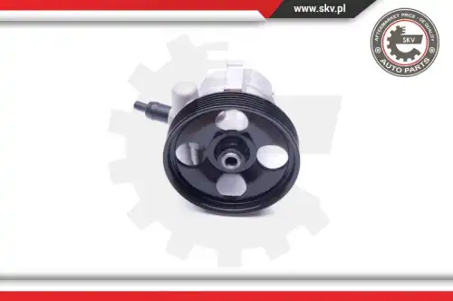 Насос гидроусилителя руля SKV 10SKV281
