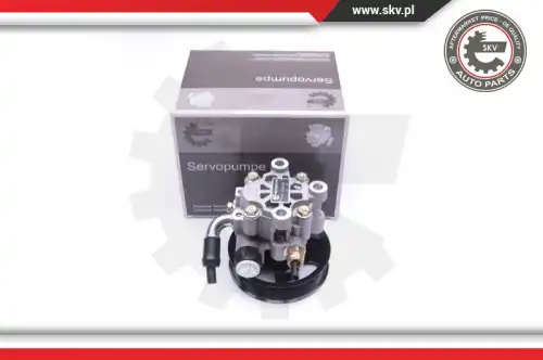 Насос гидроусилителя руля SKV 10SKV285
