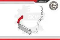 Патрубок интеркулера 24SKV919 SKV