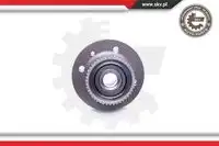 Ступица SKV 29SKV214