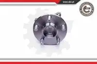 SKV 29SKV255