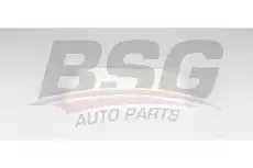 Салонный фильтр BSG BSG 40-145-024
