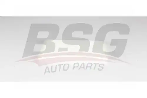 Салонный фильтр BSG BSG 40-145-024