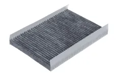 Салонный фильтр RAF FILTER RSTC002KIY