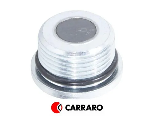 125280 125280 Заглушка 3523632M1 CARRARO
