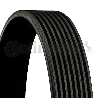 CONTINENTAL 8PK2465