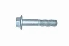 Болт крепления тормозного диска Iveco M16x2x95 16683434