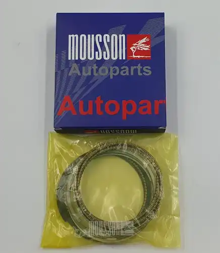 КОЛЬЦА КОМПЛЕКТ SRSG4FC050 (MOUSSON)