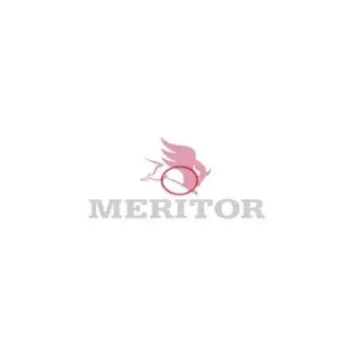 кольцо уплотн. торм. вала !(р) 28.3x1.78 \ROR 21220668 MERITOR