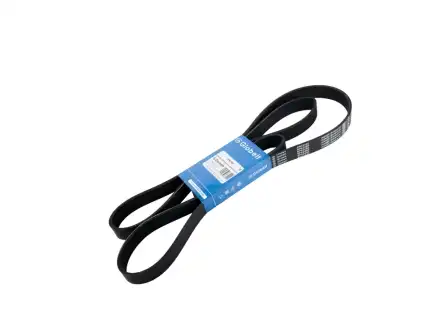 GLOBELT 8PK2495