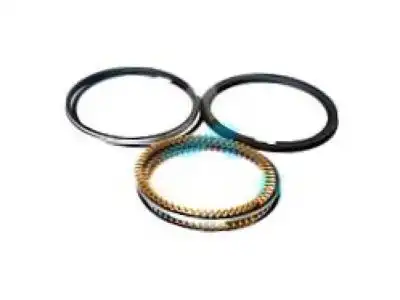 RING KIT,PSTN(INCLS 213-216)(STD) 12608615 GMC