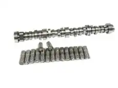 Распредвал GM 12672469
