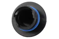 CAP 25202484 GM