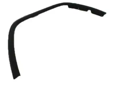 MOLDING 1MP38RXFAF CHRYSLER
