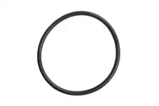 SEAL 55496156 GM