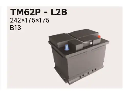 Аккумулятор IPSA TM62P