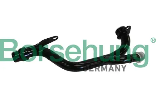 Патрубок B19221 BORSEHUNG