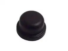 CAP,WSW ARM FIN(10.147) 15788727 CADILLAC