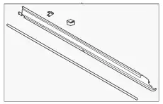 MOULDING LC5Z7810176AA FORD