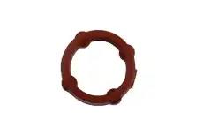 SEAL 55504438 GM