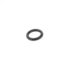 SEAL 55497381 GM