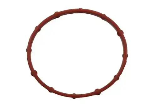 SEAL 55486276 GM
