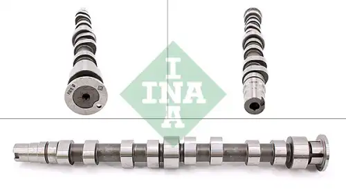 Распредвал INA 428017310