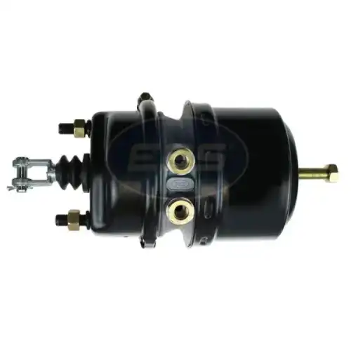 02012424900 Энергоаккумулятор TYPE 24/24 лев EBS