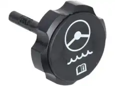 CAP,P/S FLUID RSVR 10317982 BUICK