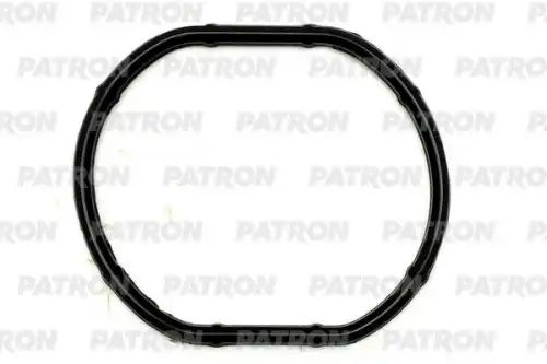 Прокладка термостата PG30086 PATRON
