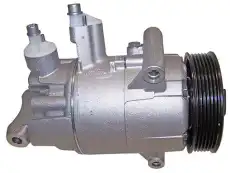 Компрессор, кондиционер 40420044 AUTOCLIMA