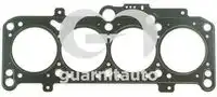 Прокладка ГБЦ GUARNITAUTO 104745-5253