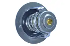 Термостат системы охлаждения WXQP 10989