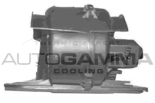 Вентилятор салона GA20328 AUTOGAMMA