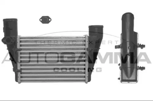 Интеркулер AUTOGAMMA 101858