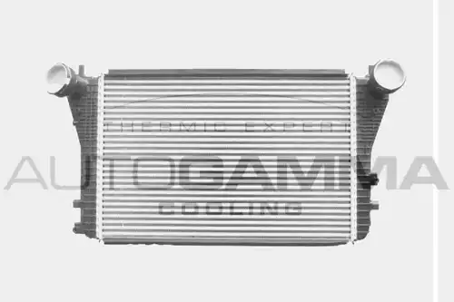 Интеркулер AUTOGAMMA 103616
