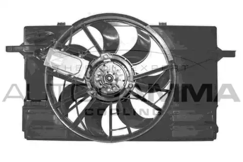 Вентилятор, охлаждение двигателя GA200872 AUTOGAMMA