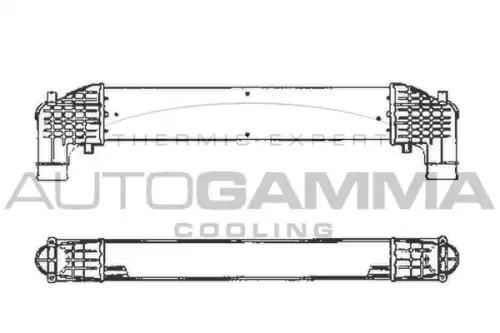 Интеркулер AUTOGAMMA 101965