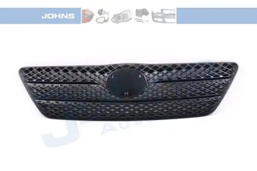 Решетка радиатора JOHNS 81 11 05-2