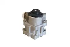 Насос гидроусилителя руля WXQP 311541