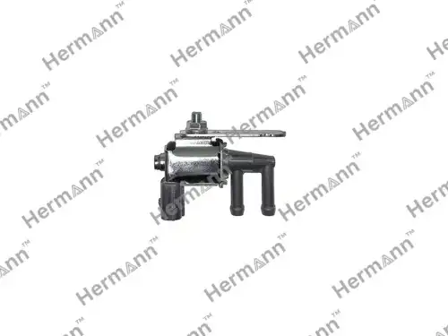 Клапан HRZ50418741A HERMANN