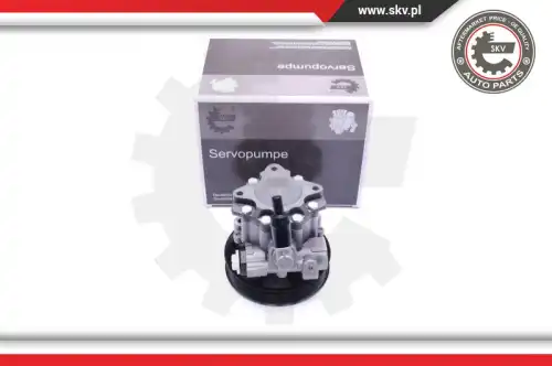 Насос гидроусилителя руля SKV 10SKV241